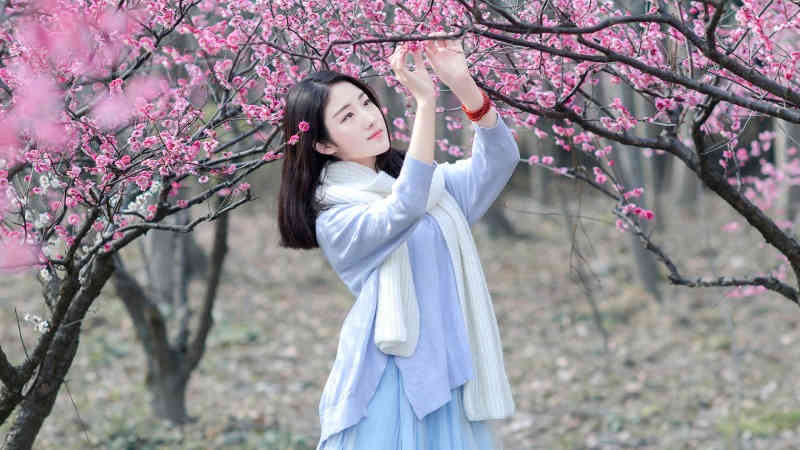 中国女排2023世联赛直播频道平台 中国vs日本cctv5视频直播观看入口